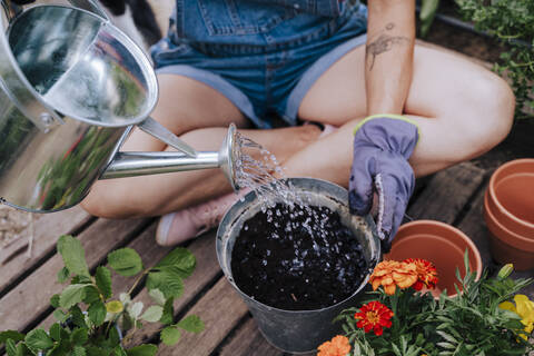 Mittlere erwachsene Frau, die im Gemüsegarten sitzend Pflanzen gießt, lizenzfreies Stockfoto