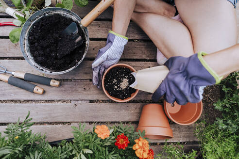 Mid adult woman planting seeds in flower pot while sitting at vegetable garden - EBBF00446