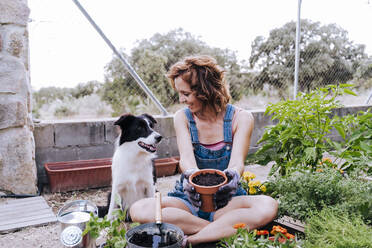 Lächelnde Frau, die einen Blumentopf hält und einen Border Collie betrachtet, während sie im Gemüsegarten sitzt - EBBF00447