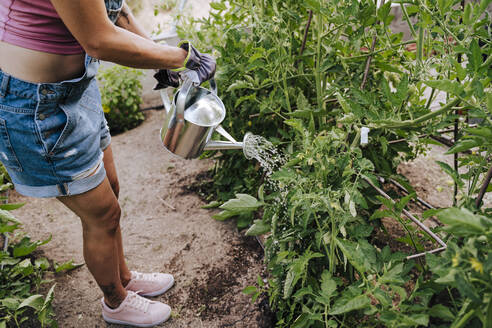 Woman watering plants while standing in vegetable garden - EBBF00450