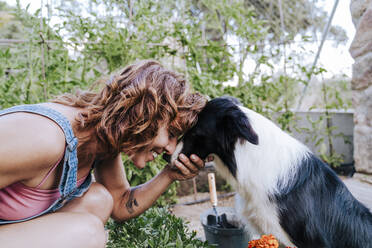 Nahaufnahme einer glücklichen Frau, die mit einem Border Collie im Gemüsegarten spielt - EBBF00453