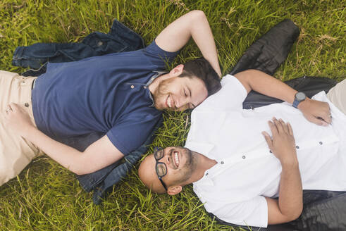 Cheerful gay couple relaxing on grassy land in park - DSIF00028