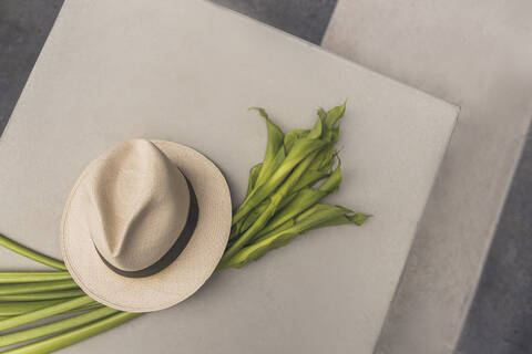 Close-up of hat with plants on table stock photo