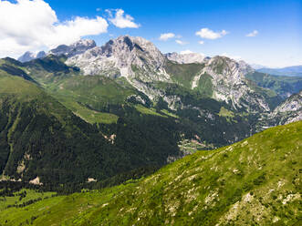 Luftaufnahme des grün bewaldeten Plockenpasses im Sommer - GIOF08594