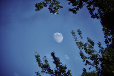 Waxing moon against blue sky at dusk - DASF00088