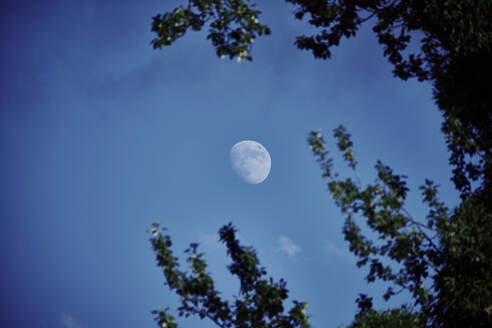 Zunehmender Mond gegen blauen Himmel in der Abenddämmerung - DASF00088