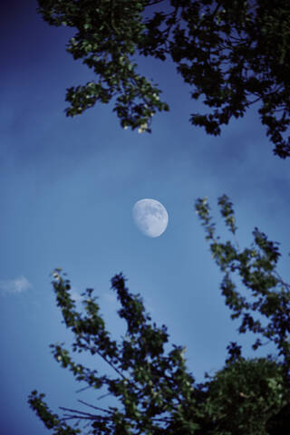 Zunehmender Mond gegen blauen Himmel in der Abenddämmerung, lizenzfreies Stockfoto