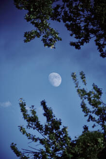 Zunehmender Mond gegen blauen Himmel in der Abenddämmerung - DASF00089