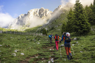 Ältere männliche Wanderer, die auf einem grasbewachsenen Berg wandern, Bergamasker Alpen, Italien - MCVF00531