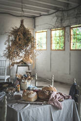 Ein Bündel trockener Nadelbaumzweige hängt über dem Tisch mit der Bäckerei in der Nähe der Stühle im Zimmer - ADSF01817