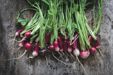 Bunch of fresh radish with foliage - ADSF01829