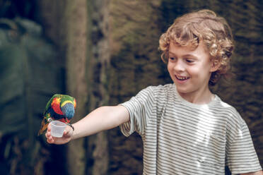 Kleiner Junge verbringt Zeit im Zoo und füttert kleine bunte Papagei auf der Hand Spaß haben - ADSF01911