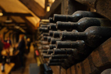 Zartes, stilvolles Weingewölbe voller Flaschen, die auf dunklen Holzregalen liegen und von oben beleuchtet werden - ADSF01924