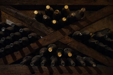 Zartes, stilvolles Weingewölbe voller Flaschen, die auf dunklen Holzregalen liegen und von oben beleuchtet werden - ADSF01926