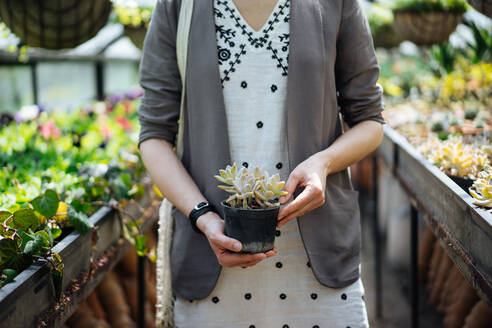 Crop female in summer dress and jacket holding in hands small black pot with high beautiful pale green juicy plant on backlit blurred background - ADSF01951
