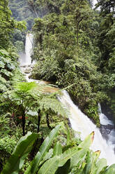 Wasserfall im schönen Regenwald - ADSF02212