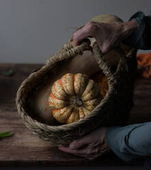 Erntehand hält Korb mit Kürbissen - ADSF02287