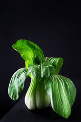 Bok choy in schwarzem Hintergrund - ADSF02586