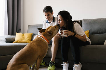 Frau küsst ihren Hund, während sie zu Hause auf dem Sofa sitzt - EGAF00431