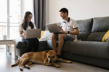 Couple working on laptops near dog in living room at home - EGAF00437