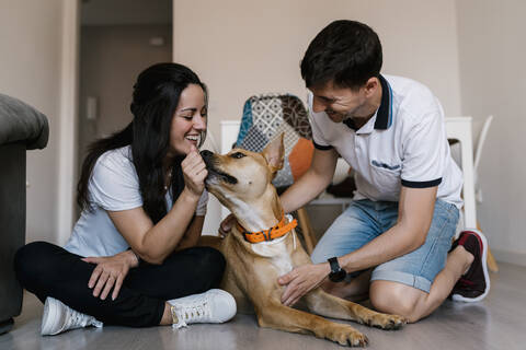 Ehepaar spielt mit Hund auf dem Boden sitzend zu Hause, lizenzfreies Stockfoto