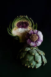 Portrait of the artichoke�s inside and a whole garlic. Similarities in palette of colors in a black background. - ADSF02717