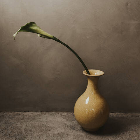 Close-up of leaf in vase on table against concrete wall at home stock photo