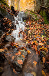 Nasses�Herbstlaub in der Nähe eines kleinen Wasserfalls in einem wunderschönen Herbstwald in Extremadura, Spanien - ADSF03095