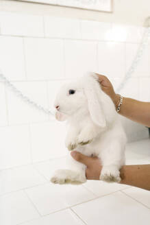 Nahaufnahme einer Frau, die ein weißes Kaninchen in einem Zoosalon hält - EGAF00513