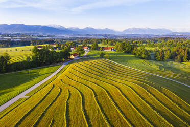 Germany, Bavaria, Upper Bavaria, Tolzer Land, near Eurasburg, Hofstatt, Plowed field and road, aerial view - SIEF09951