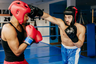 Two muscular men in helmets sparring and fighting in the gym. - ADSF03845