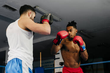 Multiethnische erwachsene Kämpfer, die im Boxring trainieren und boxen. - ADSF03846