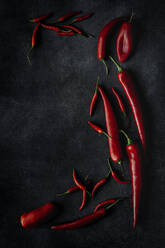 Frische rote und scharfe Chilischoten auf dunklem Hintergrund, flach gelegt, von oben - ADSF03963