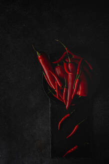 Frische rote und scharfe Chilischoten auf dunklem Hintergrund, flach gelegt, von oben - ADSF03965