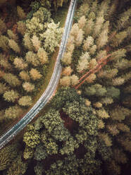 Drohnenansicht einer Asphalt- und Landstraße in einem grünen Wald in Pais Vasco, Baskenland, Spanien - ADSF04022