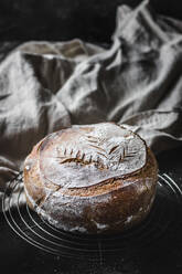 Loaf of fresh sourdough lying on grating near piece of gray cloth on table in dark room - ADSF04048