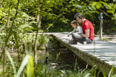 Vater und Tochter füttern Enten, die auf dem Bach schwimmen, während sie auf dem Holzsteg im Wald sitzen - DIGF12759