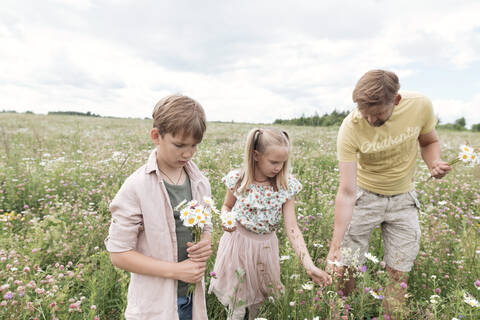 Father with children picking chamomiles in field against sky stock photo