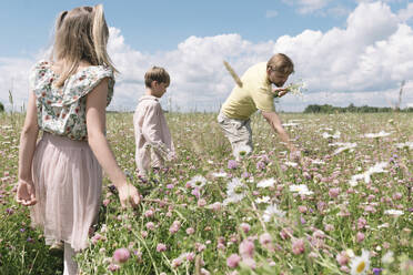 Father with children picking chamomiles in field against sky during sunny day - EYAF01225