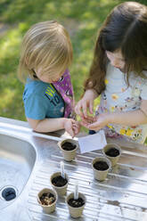Mädchen pflanzen Samen in kleinen Töpfen auf einem Tisch im Garten - BRF01469