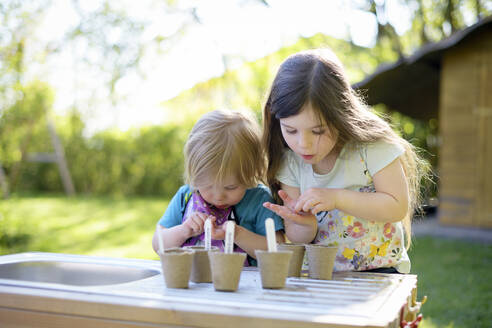 Cute girls planting seeds in small pots on table at yard - BRF01472