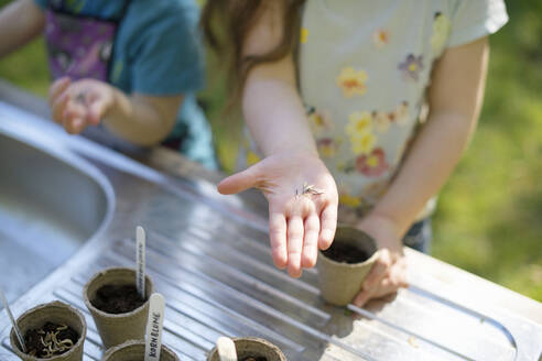 Mädchenhand hält Samen bei der Gartenarbeit mit Schwester am Tisch im Garten - BRF01473