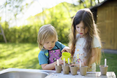 Cute Mädchen Bewässerung Pflanzen während der Gartenarbeit mit Schwester in am Hof - BRF01476