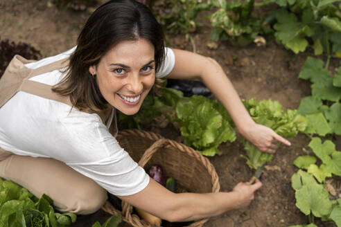 Lächelnde Frau pflückt während der Ausgangssperre Salat aus dem Gemüsegarten im Hof - AFVF06826
