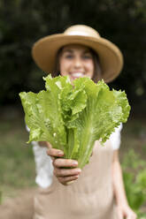 Lächelnde junge Frau mit Hut hält Salat im Gemüsegarten während der Ausgangssperre - AFVF06834