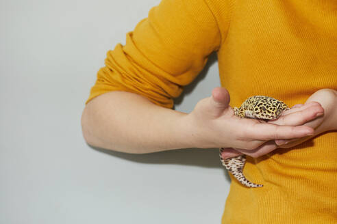 Close up of teenage girl holding spotted pet leopard gecko. - CUF56164