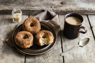 Hausgemachte Donuts mit Zucker und Zimt - EVGF03637