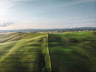 Aerial view of the famous Crete Senesi, an area near Siena with these incredible hills, Siena, Tuscany, Italy - AAEF09162