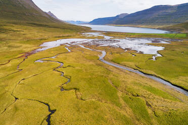 Luftaufnahme eines kleinen Flusses, der durch Grasland zu einem Fjord fließt, Alftafjordur, Westfjorde, Island - AAEF09216