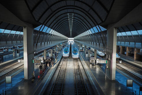 Blick von oben auf moderne Hochgeschwindigkeitszüge, die in einem geräumigen überdachten Bahnhof fahren - ADSF05107